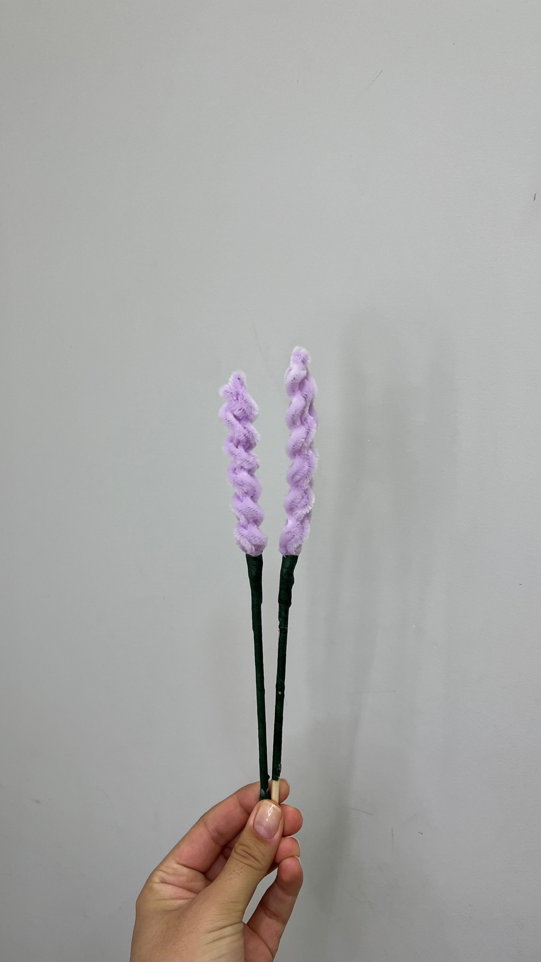 Lavanda PipeFlorYou
